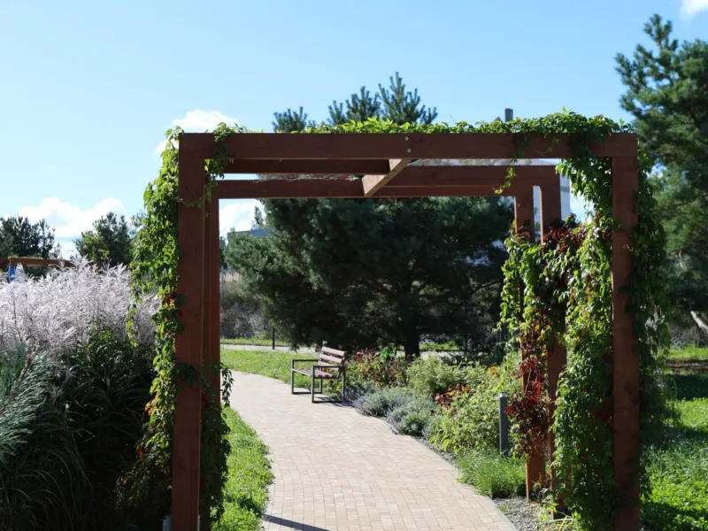 Drewniana pergola nad alejką w parku Brizo Park