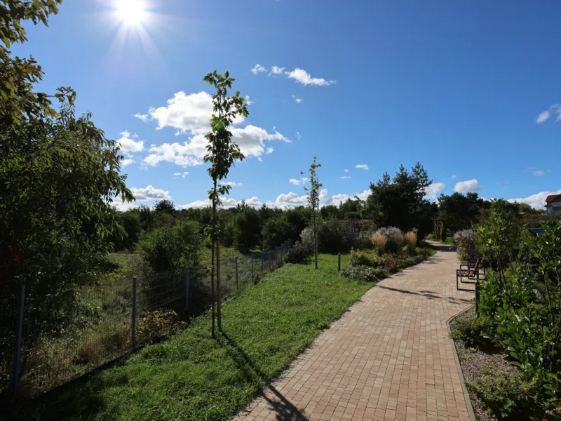 Ścieżka spacerowa przez park osiedlowy Brizo Park